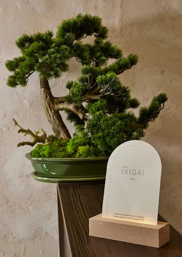 IKIGAI Spa Częstochowa